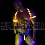 Breedwell discount code
